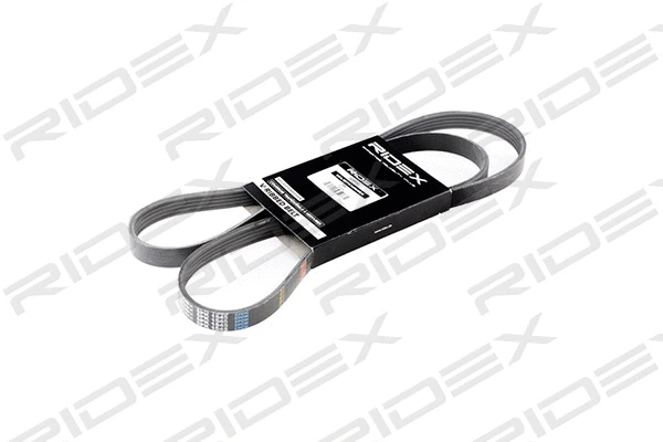 V-Ribbed Belt (305P0041)