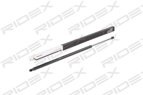 Gas Spring, boot/cargo area