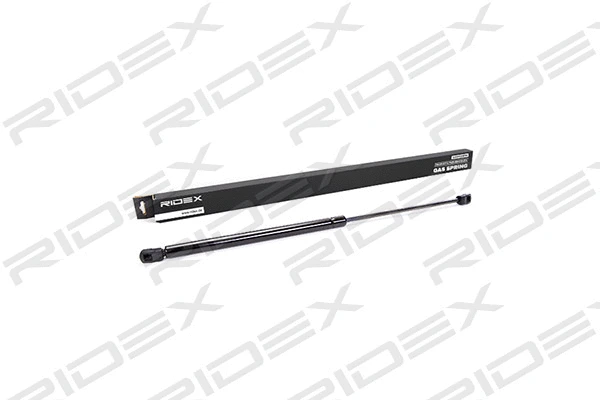 Gas Spring, boot/cargo area (219G0031)