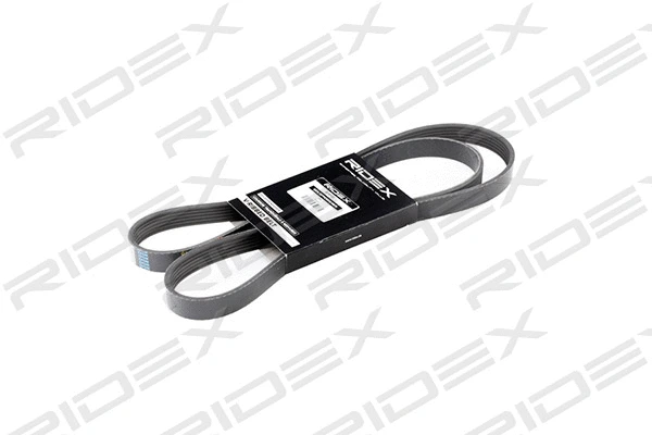 V-Ribbed Belt (305P0169)