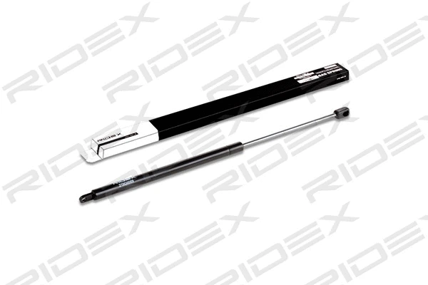 Gas Spring, boot/cargo area (219G0089)