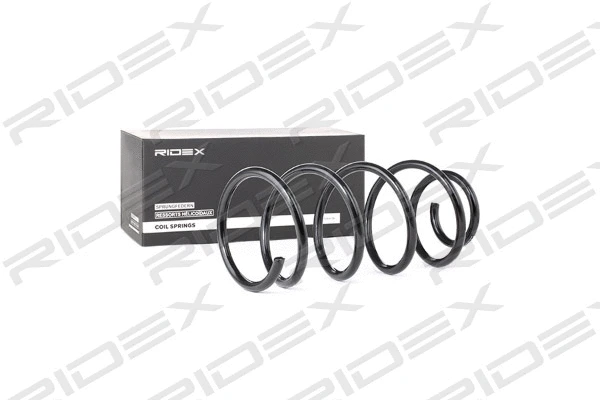 Suspension Spring (188C0370)