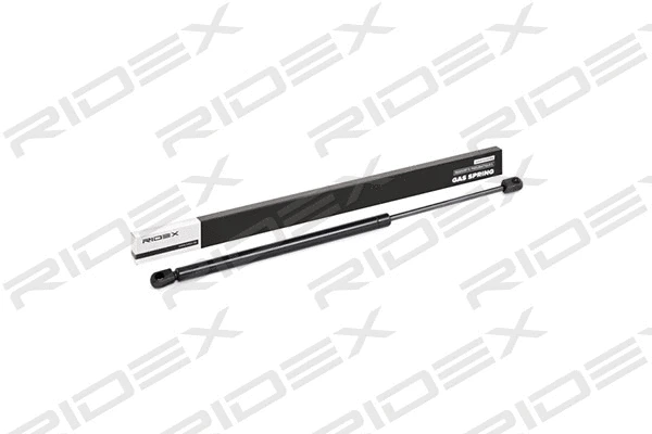 Gas Spring, boot/cargo area (219G0307)