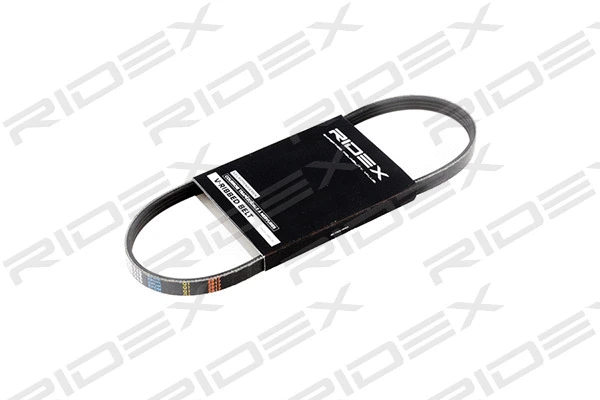 V-Ribbed Belt (305P0217)