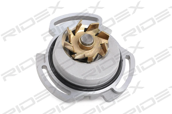 Water Pump & Timing Belt Kit (3096W0162)