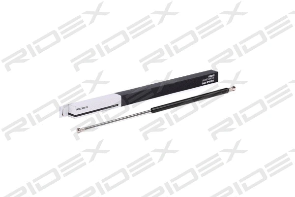 Gas Spring, boot/cargo area