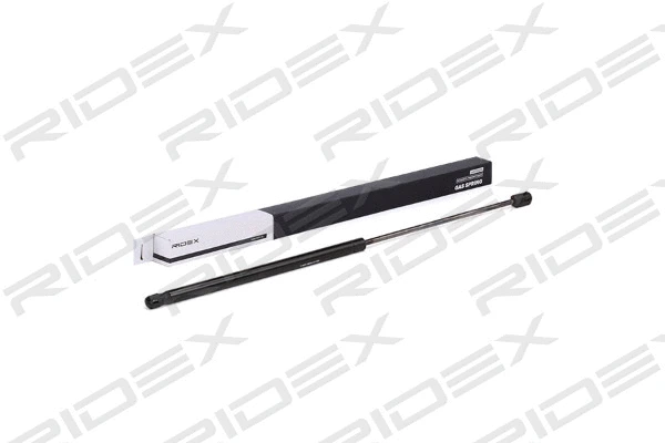 Gas Spring, boot/cargo area (219G0509)