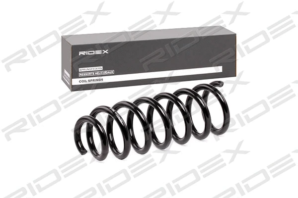 Suspension Spring (188C0402)