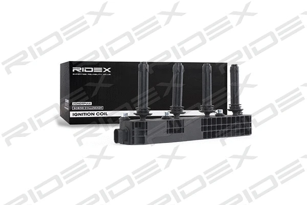 Ignition Coil (689C0186)