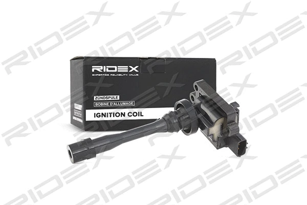 Ignition Coil (689C0030)