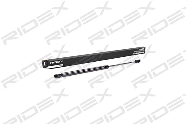 Gas Spring, boot/cargo area (219G0334)