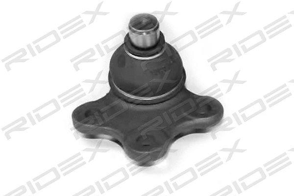 Ball Joint (2462S0058)