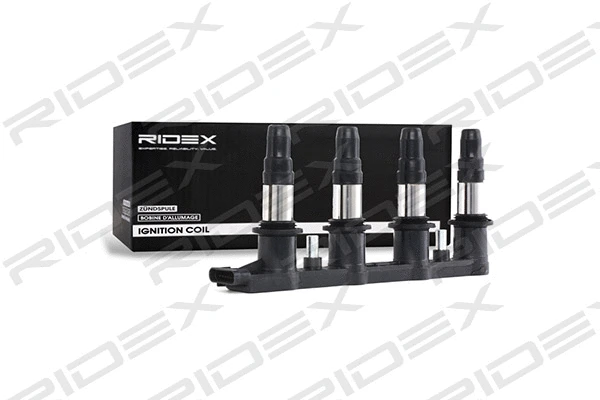 Ignition Coil (689C0179)