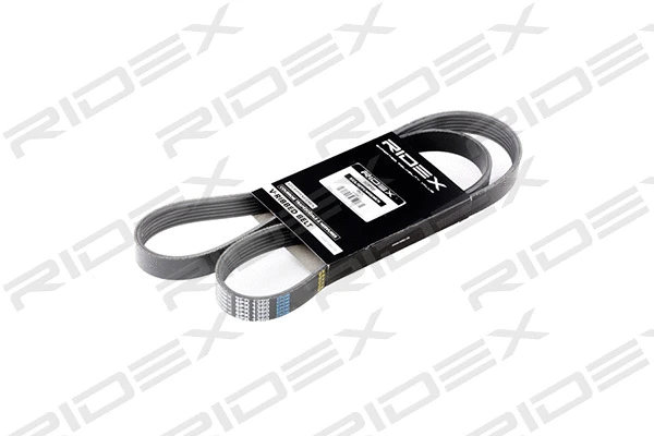 V-Ribbed Belt (305P0127)