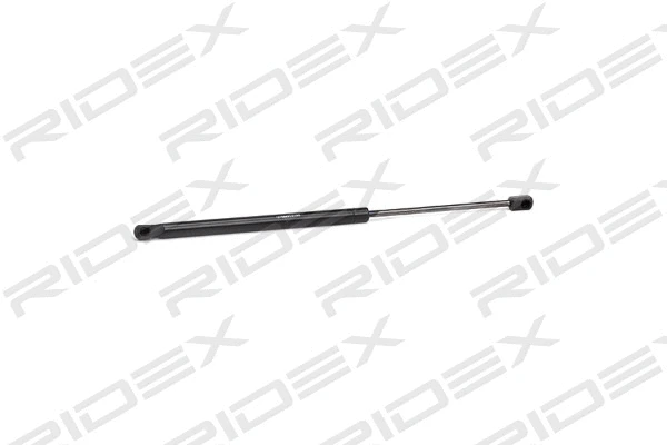 Gas Spring, boot/cargo area (219G0845)