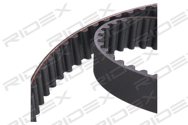 Timing Belt