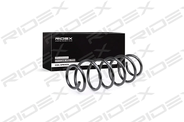 Suspension Spring (188C0283)