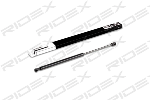 Gas Spring, boot/cargo area (219G0350)