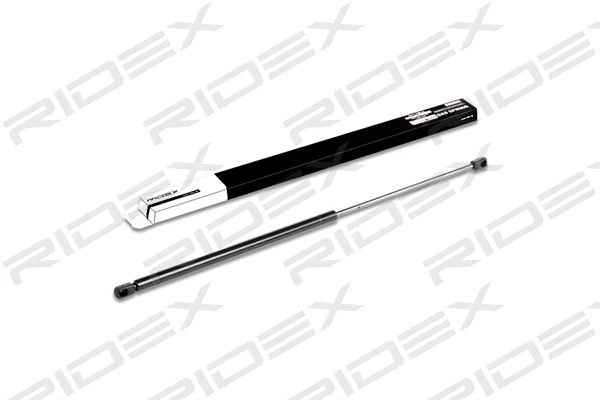 Gas Spring, boot/cargo area (219G0137)