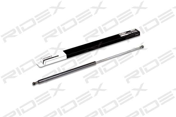 Gas Spring, boot/cargo area (219G0342)