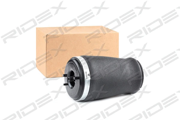 Air Spring, suspension