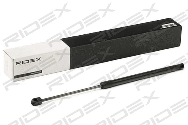 Gas Spring, rear window