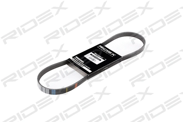 V-Ribbed Belt (305P0029)