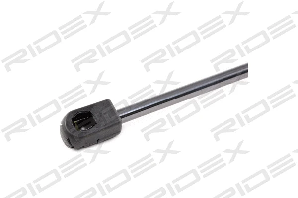 Gas Spring, boot/cargo area (219G0787)