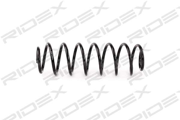 Suspension Spring (188C0387)