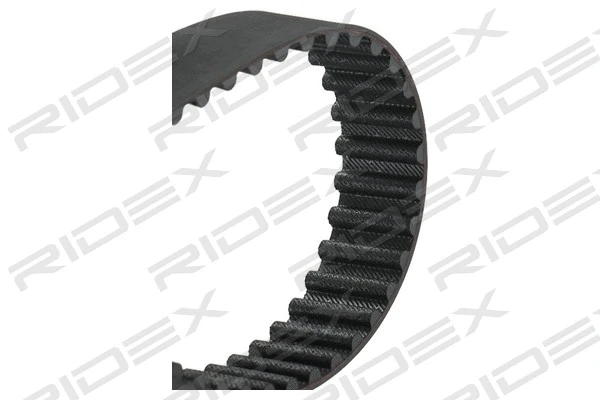 Timing Belt