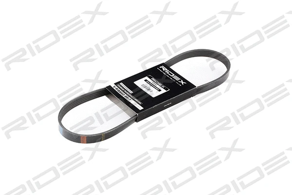 V-Ribbed Belt (305P0172)