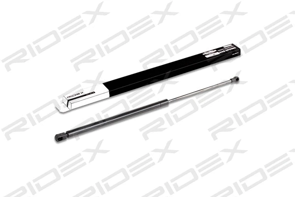 Gas Spring, boot/cargo area (219G0057)