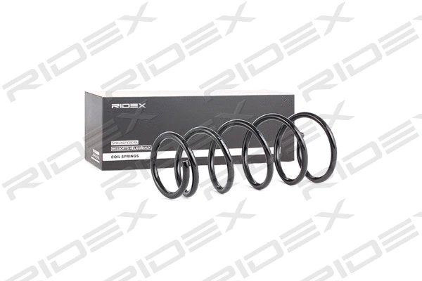 Suspension Spring (188C0146)