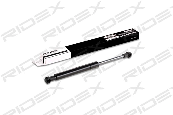 Gas Spring, boot/cargo area (219G0163)