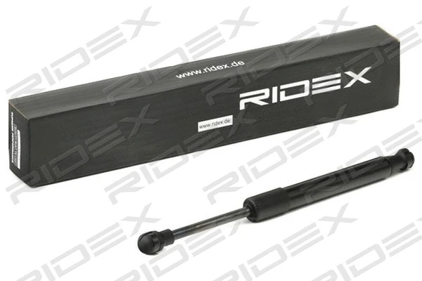 Gas Spring, boot/cargo area