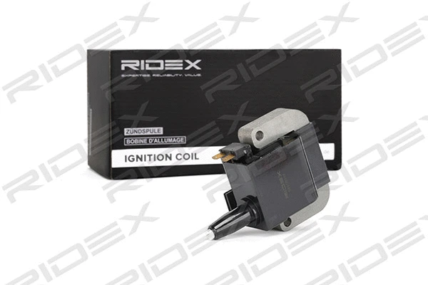 Ignition Coil (689C0117)