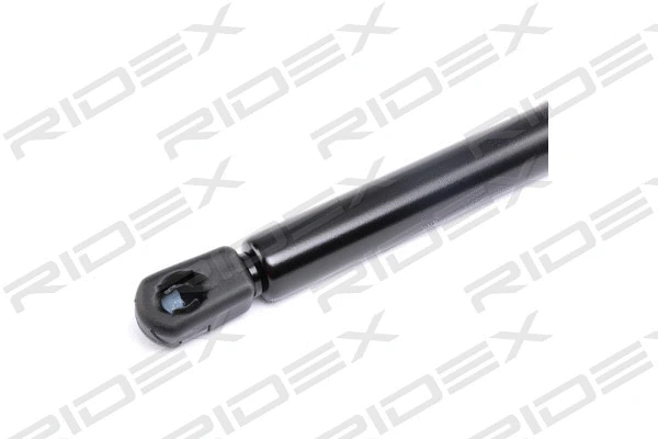 Gas Spring, boot/cargo area (219G0496)