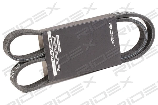 V-Ribbed Belt (305P0063)