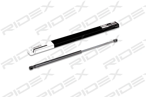 Gas Spring, boot/cargo area (219G0147)