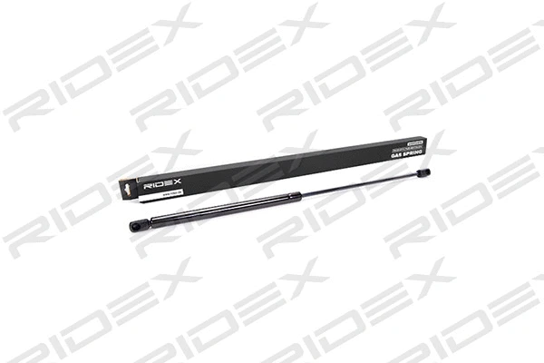 Gas Spring, boot/cargo area (219G0082)