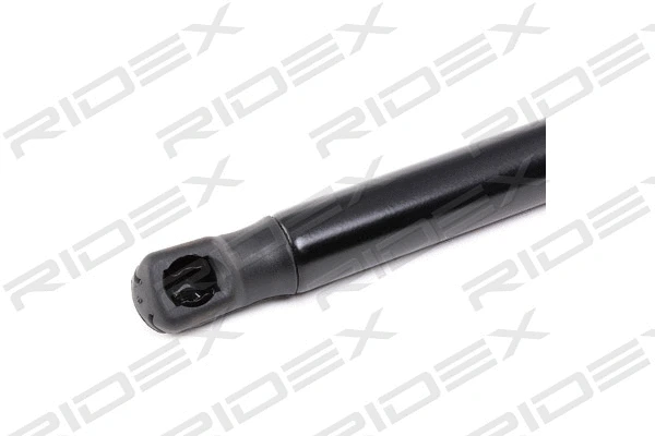 Gas Spring, bonnet
