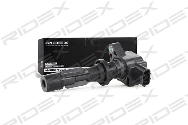 Ignition Coil (689C0130)