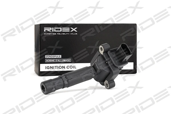 Ignition Coil (689C0265)