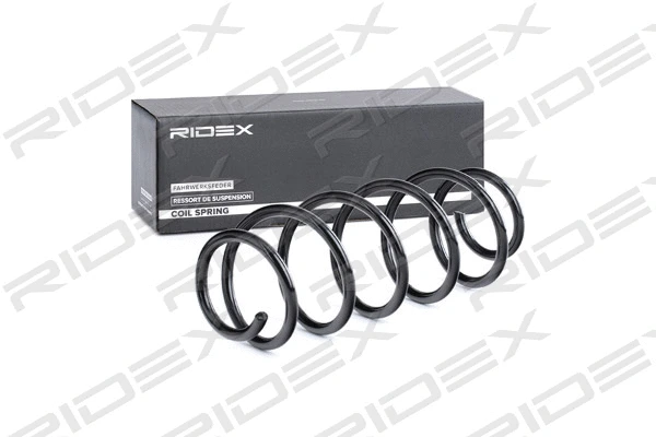 Suspension Spring (188C0418)