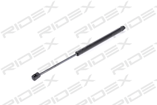Gas Spring, boot/cargo area (219G0405)