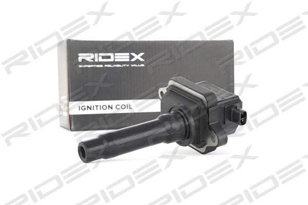Ignition Coil (689C0103)