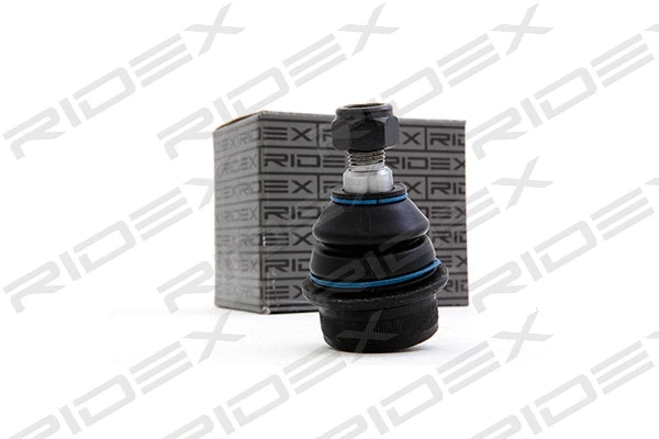 Ball Joint (2462S0081)