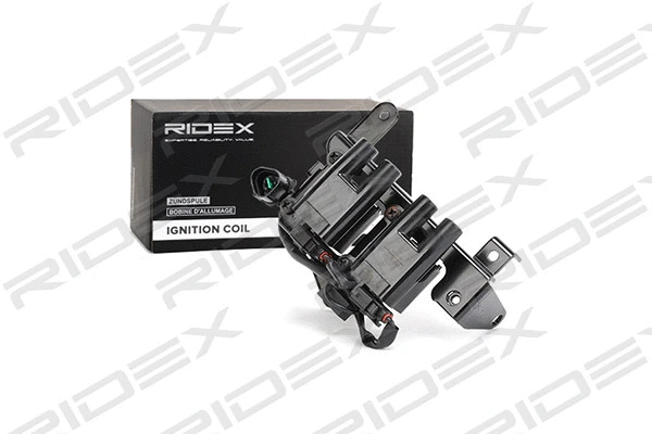 Ignition Coil (689C0109)