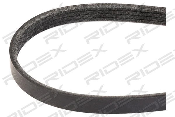 V-Ribbed Belt (305P0360)