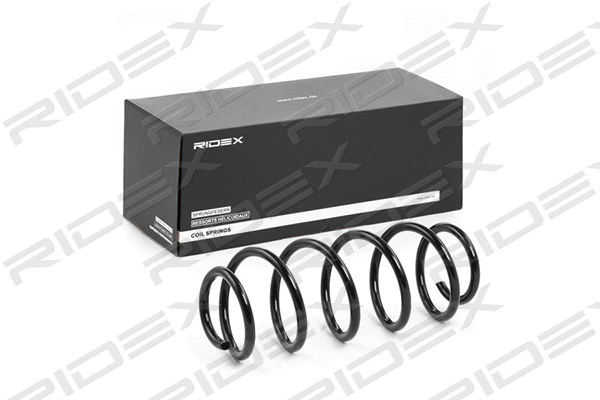 Suspension Spring (188C0501)
